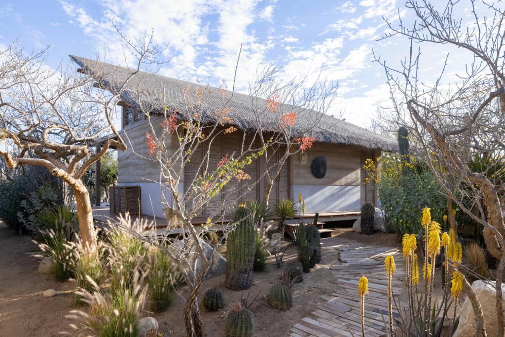 El Perdido Desert Dream- Adults Only El Pescadero  エクステリア 写真